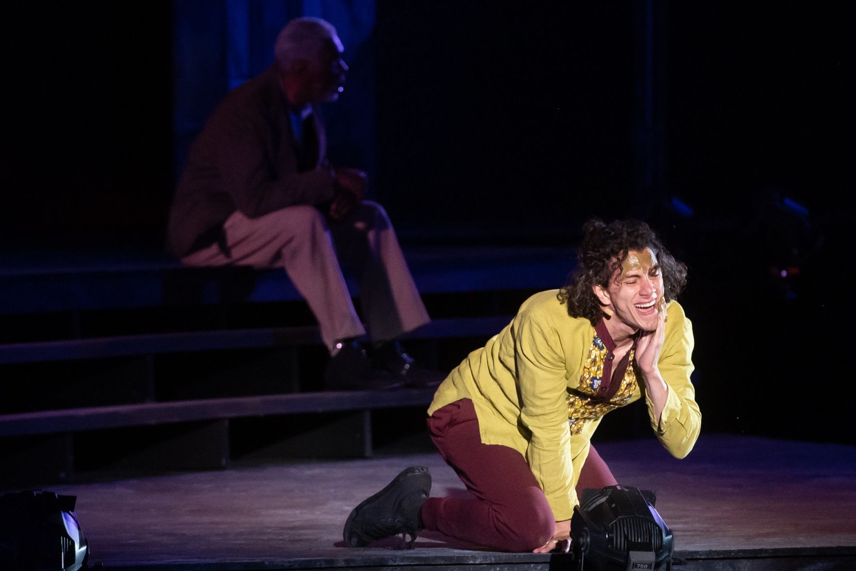'King Lear' in Forest Park